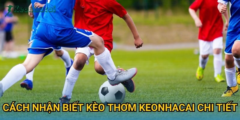 Cách nhận biết kèo thơm Keonhacai chi tiết