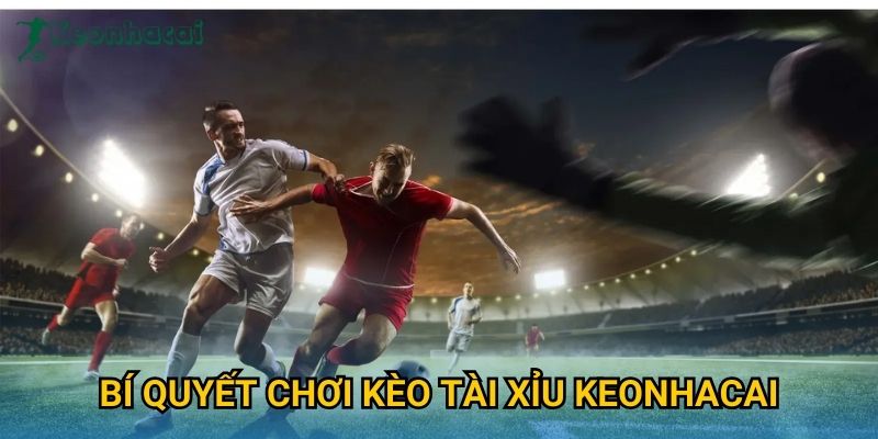 Bí quyết chơi kèo tài xỉu Keonhacai