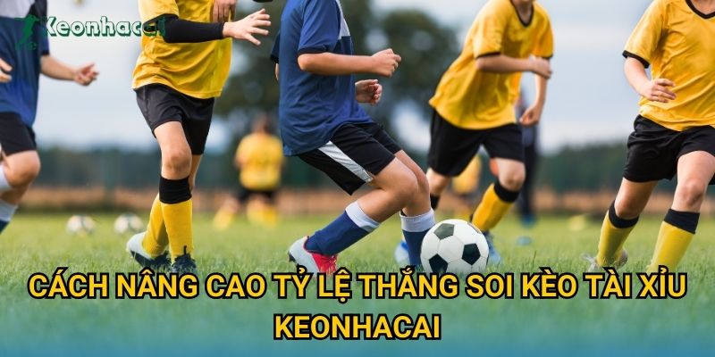 Cách nâng cao tỷ lệ thắng soi kèo tài xỉu Keonhacai