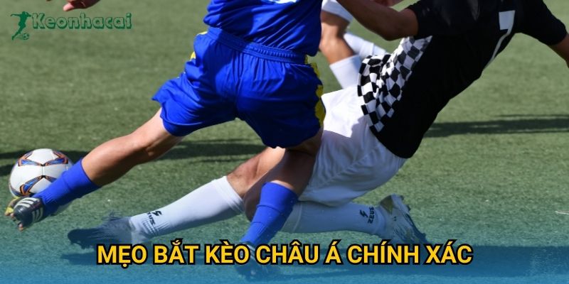 Mẹo bắt kèo châu Á chính xác Keonhacai – Kinh nghiệm từ chuyên gia soi kèo 2 Mẹo bắt kèo châu Á chính xác Keonhacai – Kinh nghiệm từ chuyên gia soi kèo
