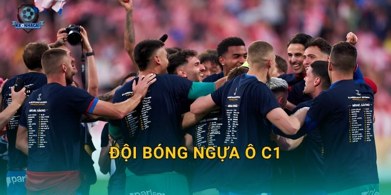 Đội bóng ngựa ô C1 mùa này là ai – Kèo nhà cái chỉ điểm những cái tên bất ngờ nhất